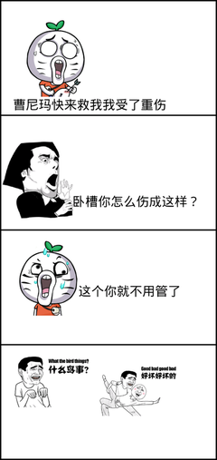 关于文子的格言