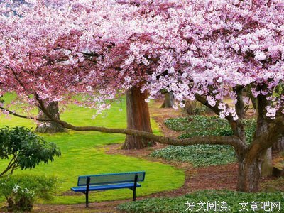 春花秋月的名言_关于春花秋月的名言