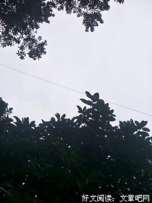 关于怒马鲜衣的格言