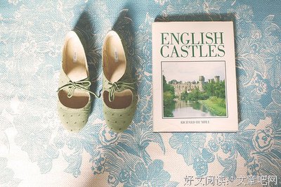 最全的《风中的纸屑》经典名句