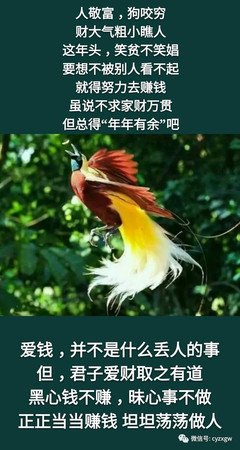 关于有求必应的唯美语录
