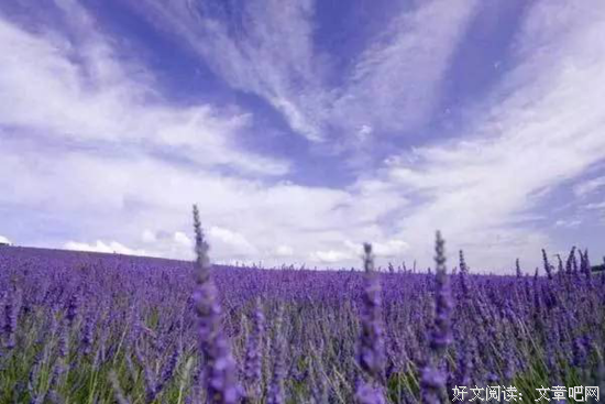 《巴黎恋爱地图》读后感精选10篇