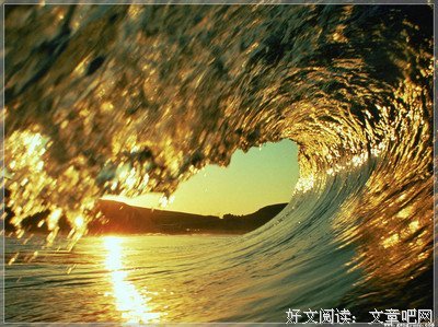 《最忆当年初遇时》经典读后感10篇