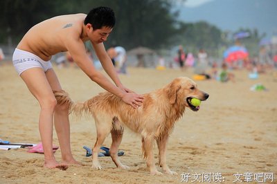 《爱与狗同行》的观后感10篇