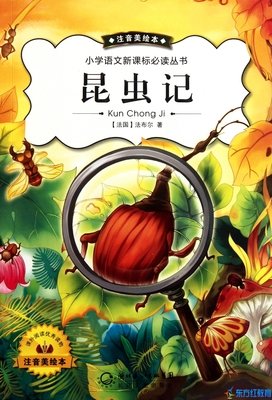 隐之书读后感10篇