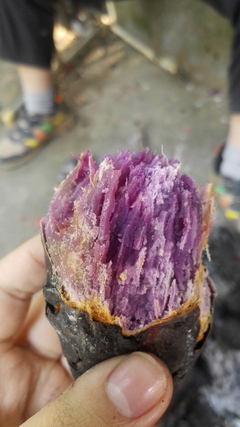 过年了，你为什么不想回家？
