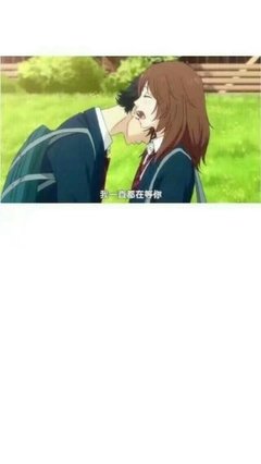 关于董小姐的名言