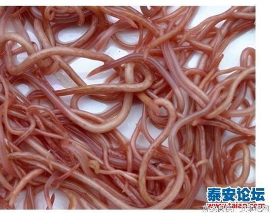 他是你对象，不是你肚子里的蛔虫