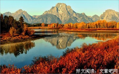 有关麻木不仁的美文美句摘抄