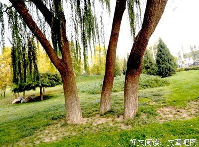 灰飞烟灭的句子