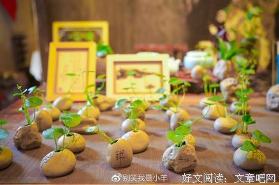 细腻的写作者是不急不躁、从容不迫的