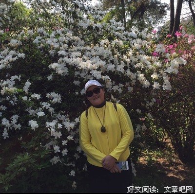 《妖怪連絡簿 1》读后感10篇