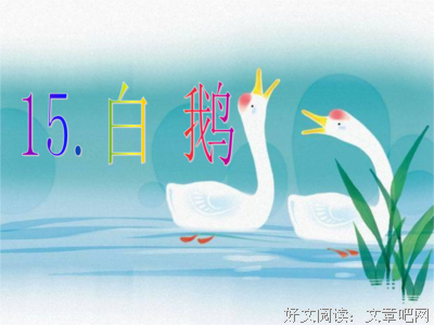 描写白鹅的经典句子