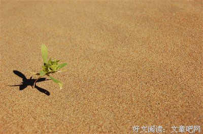 些儿的句子