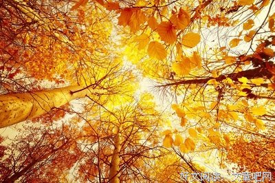 最新的《犯罪心理》经典的句子大全