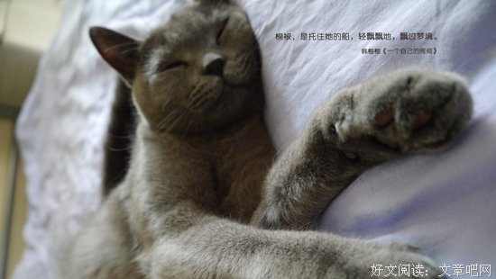 关于梅梅的格言
