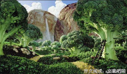关于淡定的名言