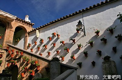百花巷情事
