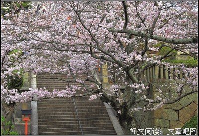 《广岛之恋》观后感10篇