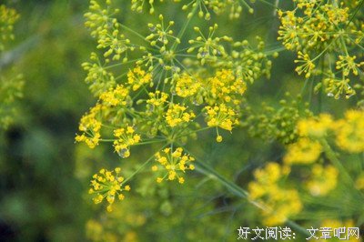 朱光潜谈美的读后感10篇