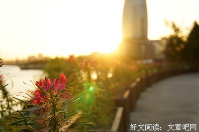 关于清朗的格言