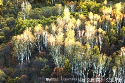 苏小旗：我有长长的一生，而你，爱来不来