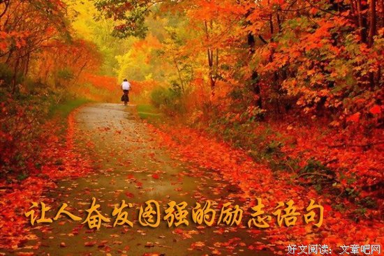 描写确确的经典句子