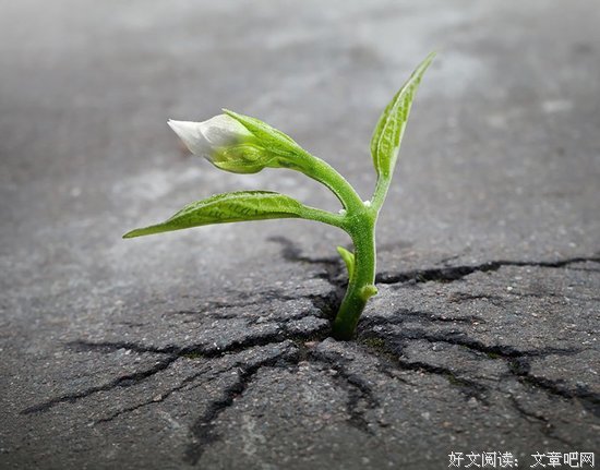 思维异于常人，更容易看透生命的本质
