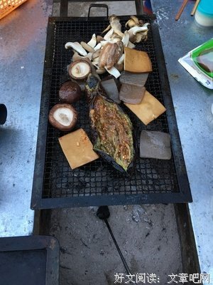 你过春节的匆忙，我去诗样的远方。