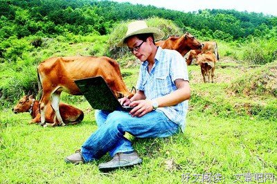 《贺根森林战役》观后感10篇