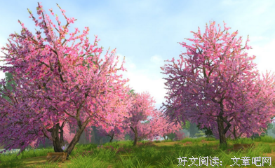 《鲤·变老》读后感精选10篇