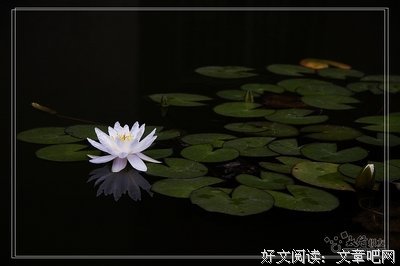 柳下惠的名言_关于柳下惠的名言