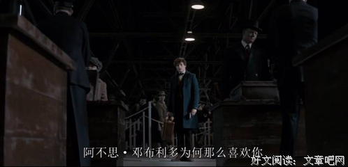 15条关于吉米·哈利的经典语句