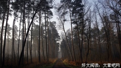 散文连苑丨一个灵魂可以偷渡的地方