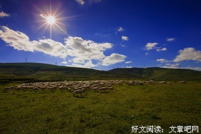 羊儿的句子