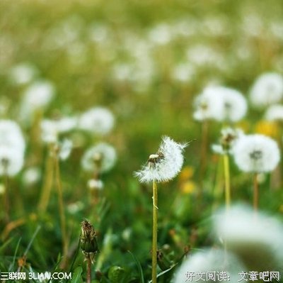最经典的《意林》经典的句子