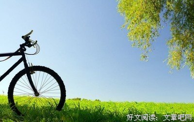 描写简约的语句摘抄