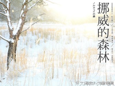 看了高兴的爱情故事读后感10篇