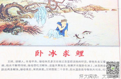鲤·来不及读后感精选10篇
