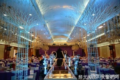 《许愿树》经典读后感10篇