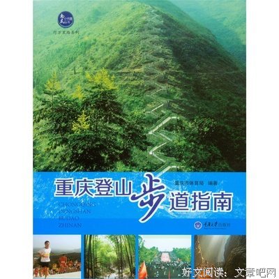 人生如登山读后感10篇