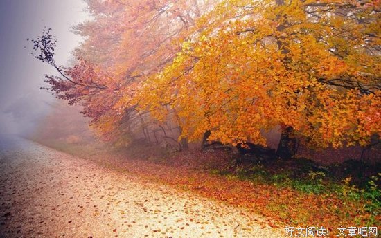 最新的《忽而今夏》名句欣赏大全