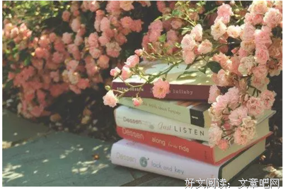 最新的《岁月忽已暮》经典的句子大全