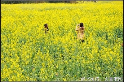 有关立冬的美文美句摘抄