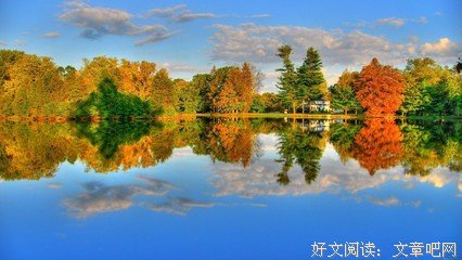 关于绿树成荫的唯美语录