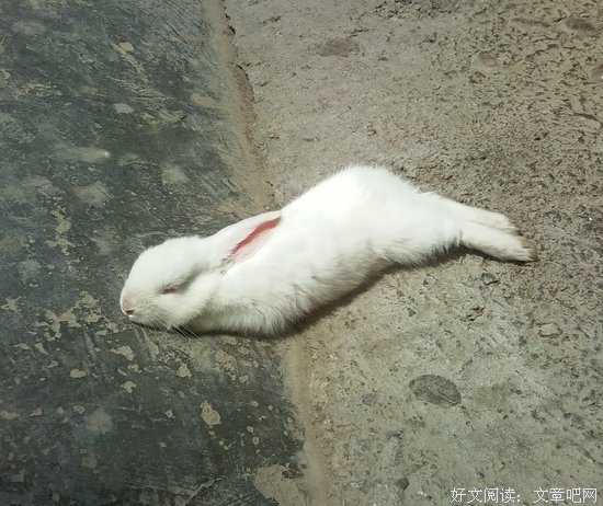 【细节】你喜欢看爱人睡觉时的模样吗？