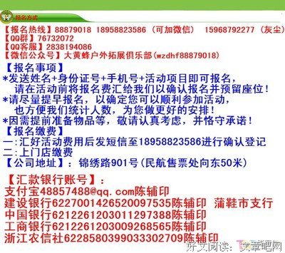 大黄蜂的句子