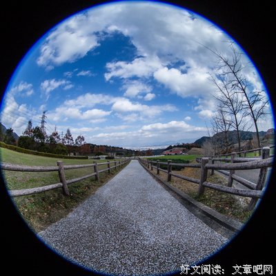 犬八公格言警句