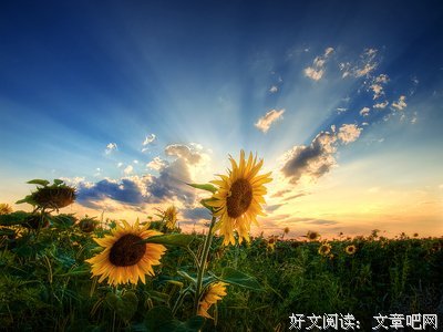 关于草草收场的唯美语录