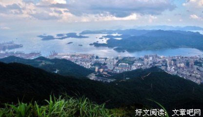 最经典的《梧桐那么伤》好段摘抄